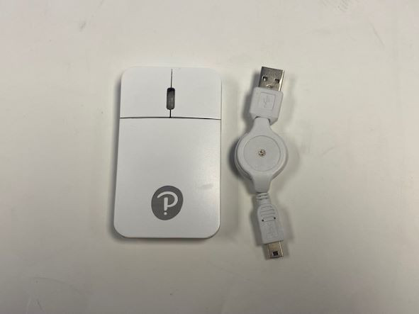 Pocket Mouse-image not found