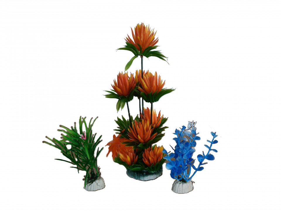 Aquarium Decorations-image not found