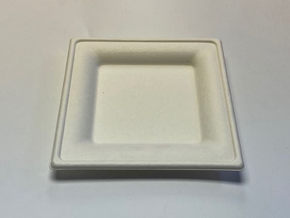 Disposable Bagasse Plates-image not found